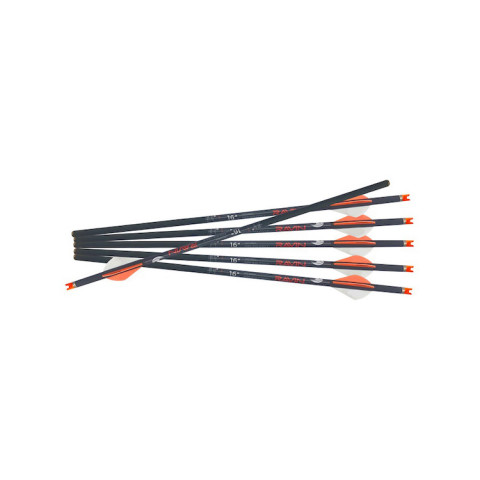 Image Lot 6 traits Carbone pour Ravin R18 - 13182 - Kodiak Store