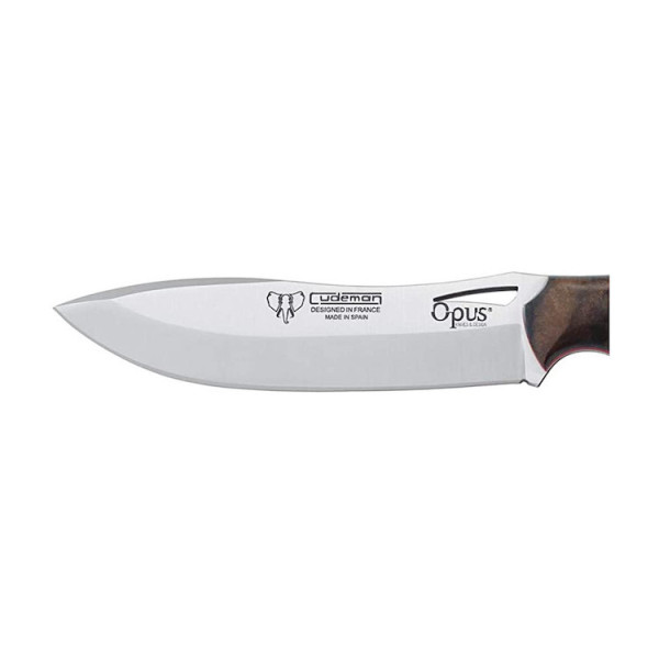 Image Couteau CUDEMAN Ness Wolf 208-G avec étui en cuir - 13656 - Kodiak Store
