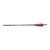 Image Pack 10 traits Carbone 17 pouces - 14645 - Kodiak Store