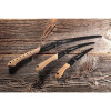 Image Scie pliante SILKY Pocketboy 170 Outback Edition - 14736 - Kodiak Store