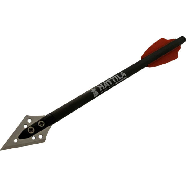 Image 6 Flèches de chasse en carbone pour arbalètes 80 lbs - 15455 - Kodiak Store