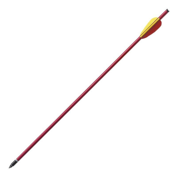 Image Pack de 6 Flèches de 20 pouces (51cm) - 15458 - Kodiak Store