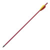 Image Pack de 6 Flèches de 20 pouces (51cm) - 15458 - Kodiak Store