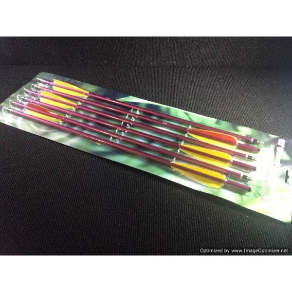 Image Pack de 6 Flèches de 20 pouces (51cm) - 15460 - Kodiak Store