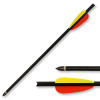 Image Pack de 6 Flèches de 20 pouces (51cm) - 15464 - Kodiak Store