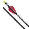 6 traits carbone TenPoint CenterPunch Evo-X Alpha-Nocks 16 pouces