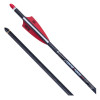 6 traits carbone TenPoint CenterPunch HPX 20 pouces