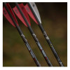 6 traits carbone TenPoint CenterPunch HPX 20 pouces