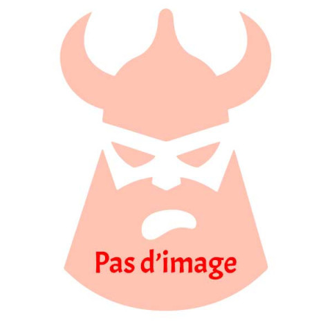 Kit de branches + poulies pour arbalète Ravin R10