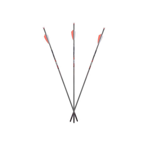 Lot de 6 traits 19 pouces pour arbalète AXE