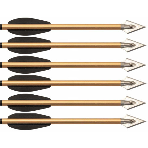 Lot de 6 traits de chasse 16 cm pour pistolet arbalètes