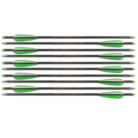 Pack de 10 Flèches Carbone de 20 pouces