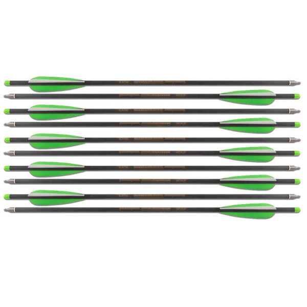 Pack de 10 Flèches Carbone de 20 pouces