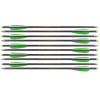Pack de 10 Flèches Carbone de 20 pouces