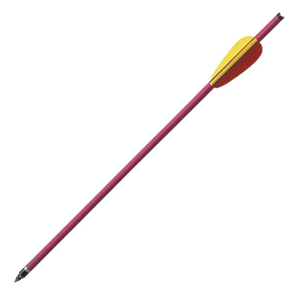 Pack de 6 Flèches 14 pouces (35.5cm)