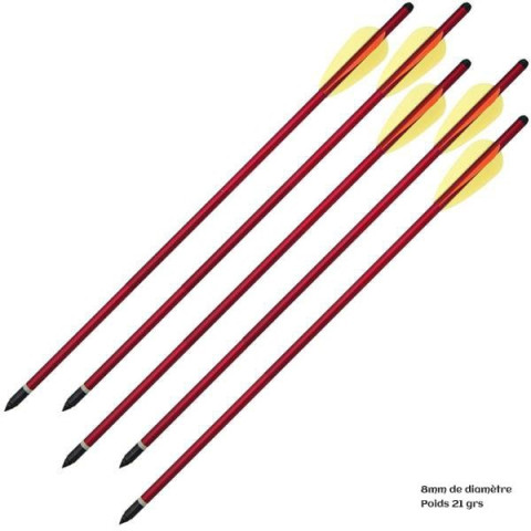 Pack de 6 Flèches de 16 pouces (40.6cm) diamètre 8mm