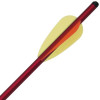 Pack de 6 Flèches de 16 pouces (40.6cm) diamètre 8mm