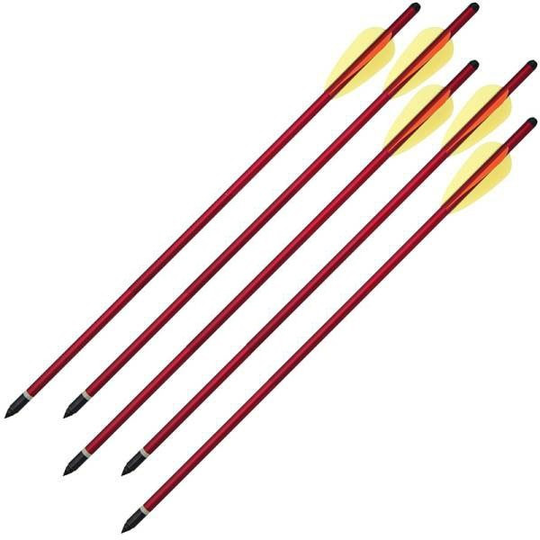 Pack de 6 Flèches de 16 pouces (40.6cm) diamètre 8mm
