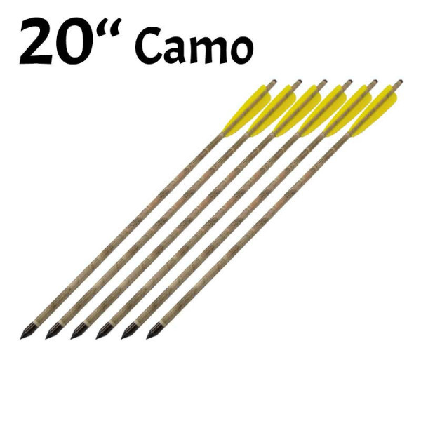 Pack de 6 Flèches de 20 pouces (51cm)