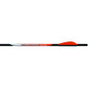 Black Eagle Executioner .001 Arrows with 2-inch Vanes: Precise and Durable