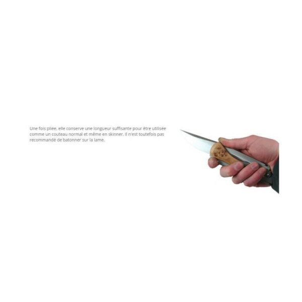 Couteau WILDSTEER W'estaing 0103 : robustesse X46Cr13, manche ergonomique, idéal chasse